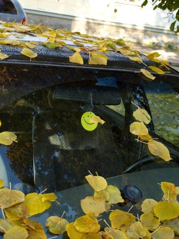 Фотовиставка Тетяни Полуектової